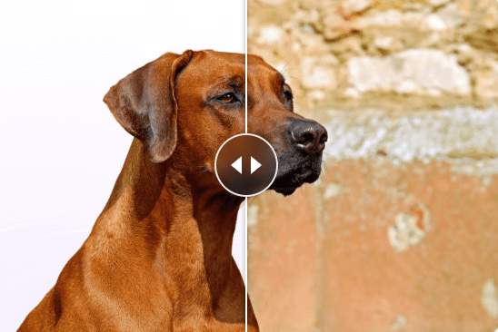 Background Remover Demo